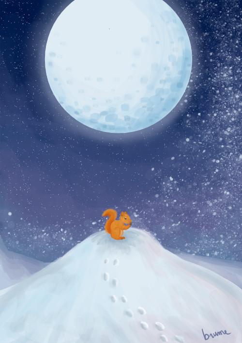 Petit écureuil en haut d'une colline enneigée dans la nuit